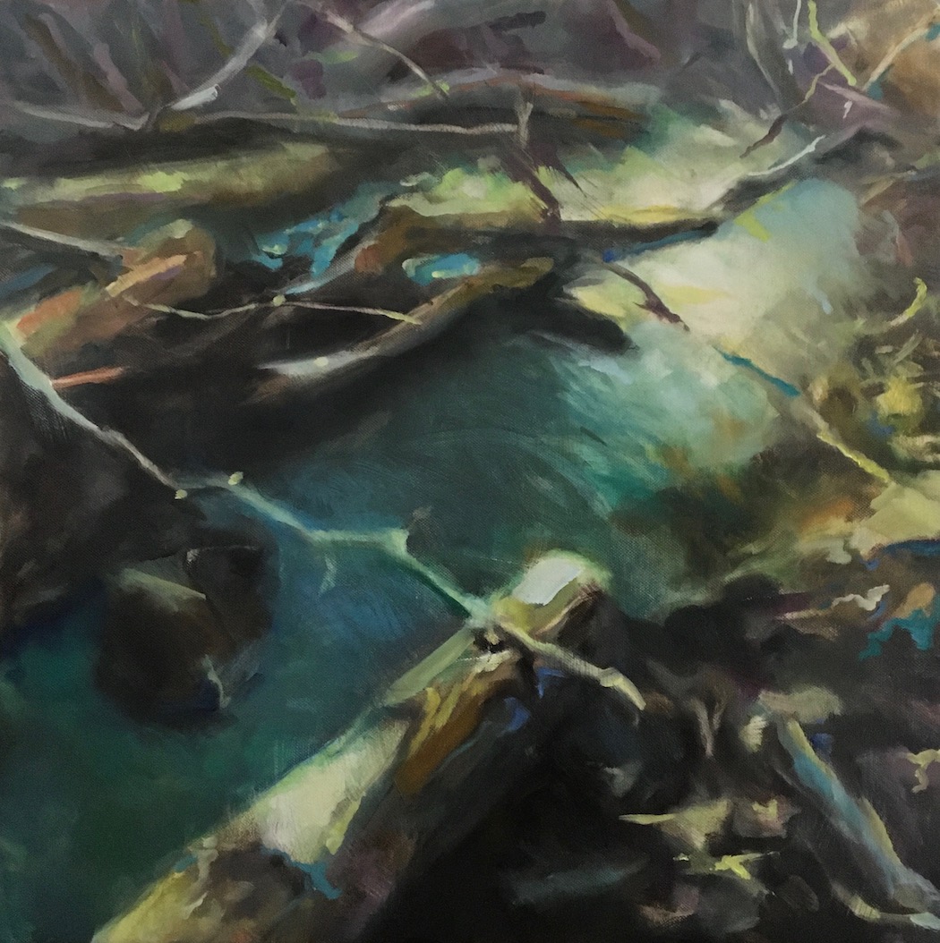 ditch winter forest 